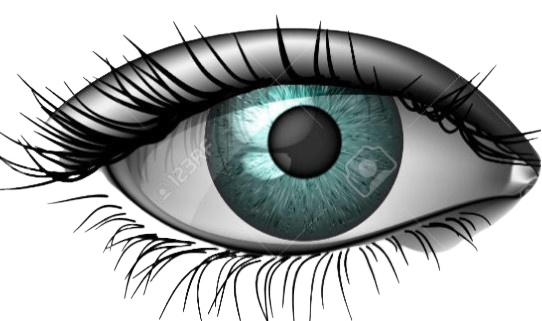 eye123 removebg preview